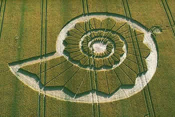 Nautile: spirale de Fibonacci et Nombre d'Or