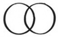 Vesicacircles.jpg