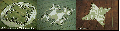 Mayan symbols.png