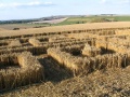 Uk2004cf4.jpg
