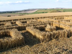 Uk2004cf4.jpg
