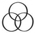 Vesicacircles2.jpg