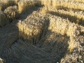 Uk2004cf7.jpg