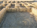 Uk2004cf5.jpg